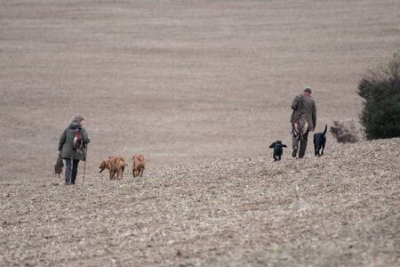 The picking up team walking to the next drive with thier dogsの写真素材