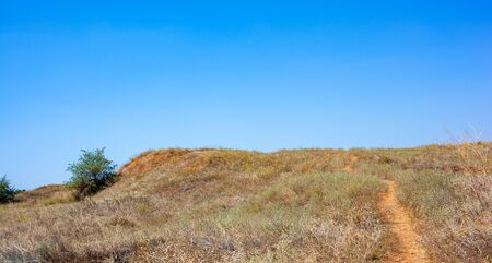path in the dunesの写真素材