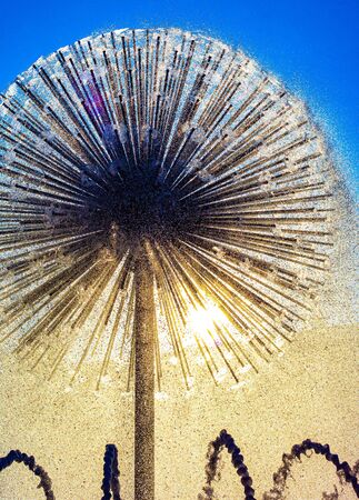 palm trees on the beachの写真素材