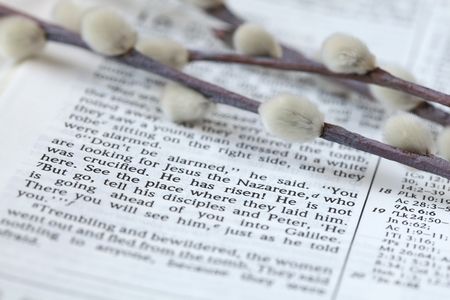Open Bible with focus on the text in Mark 16:6 - He has risen!の写真素材