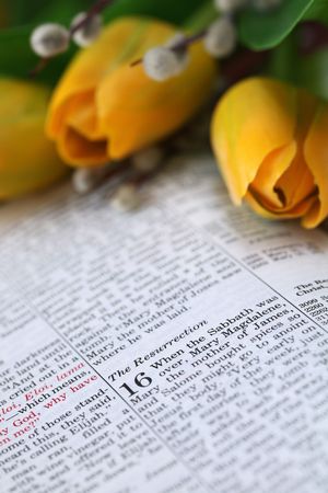Open Bible with focus on the text in Mark 16: Resurrection