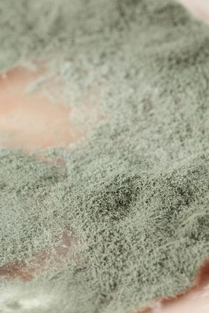 Mold on fruit juice. Shallow dof.