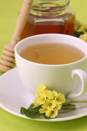 Healthy herbal tea made from freshly picked primroses with honeyの写真素材