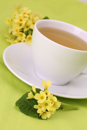 Healthy herbal tea made from freshly picked primrosesの写真素材