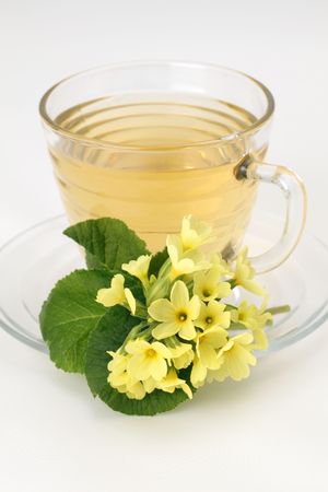 Healthy herbal tea made from freshly picked primrosesの写真素材
