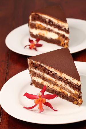 Chocolate cake with cheese and apricot jamの写真素材