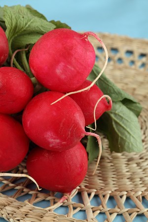 Bunch of fresh organic radish on a straw matの写真素材