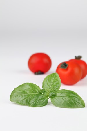 Basil leaf and cherry tomatoesの写真素材