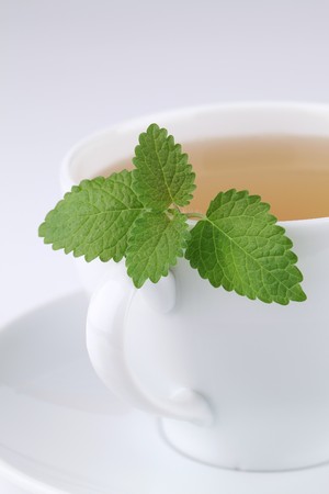 Lemon balm teaの写真素材
