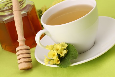 Herbal tea made from freshly picked primroses with honeyの写真素材