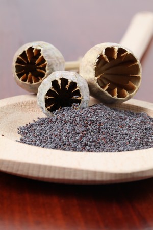 Poppy seeds on a wooden spoon and empty poppy headsの写真素材