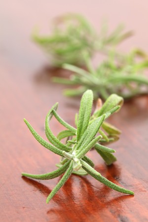 Close up of fresh organic rosemary. Shallow dofの写真素材