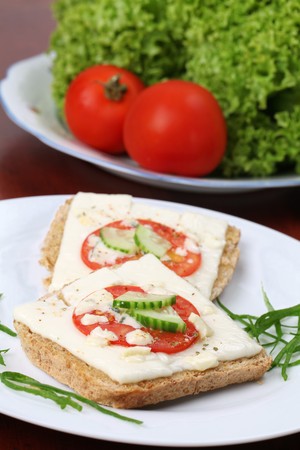 Grilled cheese and tomato sandwiches garnished with fresh cucumberの写真素材