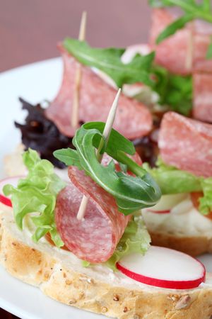 Appetizers with salami and fresh vegetablesの写真素材