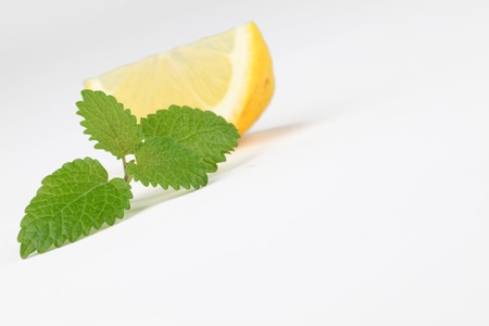 Lemon balm and lemonの写真素材