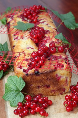 Red currant sponge cakeの写真素材