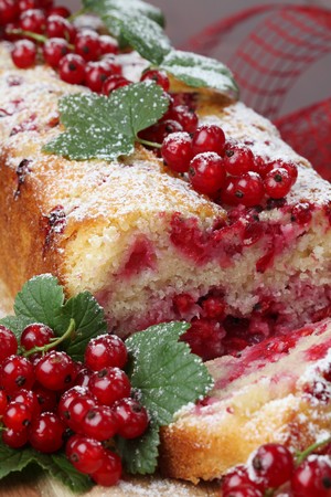 Red currant sponge cakeの写真素材