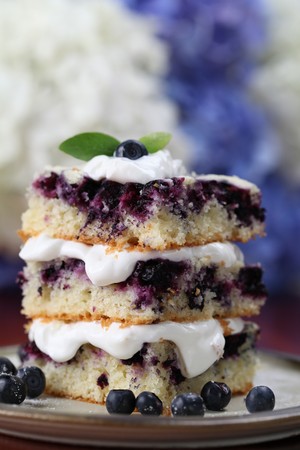 Blueberry cake with whipped cream の写真素材