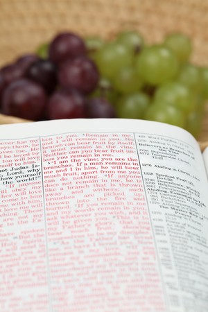 Holy Bible open to John 15 about Jesus being a Vineの写真素材