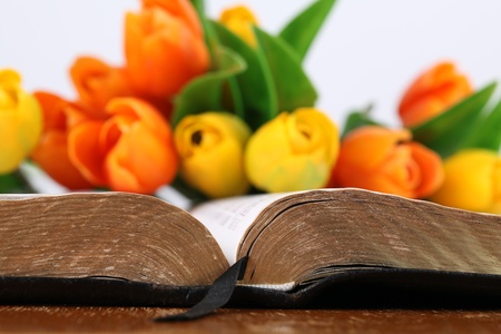 Close-up of an open Bible with a bouquet of colorful tulips. Shallow dofの写真素材