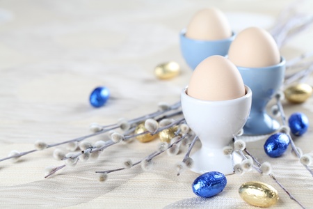 Eggs in white and blue eggcups with catkins and little chocolate eggs in foilの写真素材
