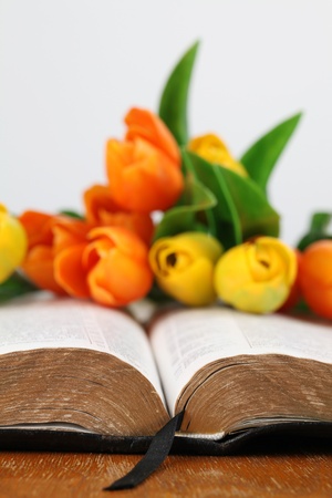 Close-up of an open Bible with a bouquet of colorful tulips. Shallow dofの写真素材