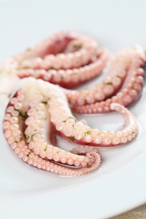 Close up of octopus tentacles on a white plateの写真素材
