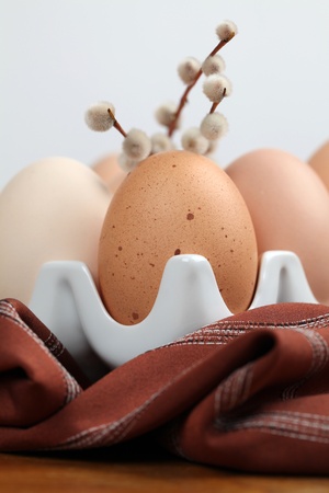 Brown chicken eggs in an egg holder and catkins  Shallow dofの写真素材