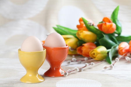 Eggs in orange and yellow eggcups with tulips and catkins in backgroundの写真素材