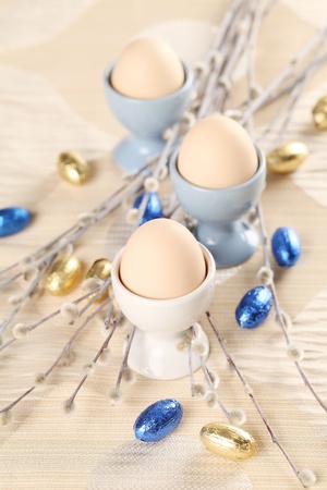 Eggs in white and blue eggcups with catkins and little chocolate eggs in foilの写真素材