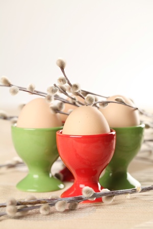 Eggs in red and green eggcups with catkinsの写真素材
