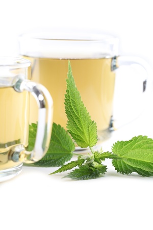 Nettle and freshly made nettle tea in glass cups isolated on white background  Shallow dof, focus on nettleの写真素材