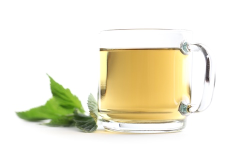 Nettle and freshly made nettle tea in a glass cup isolated on white background  Shallow dofの写真素材