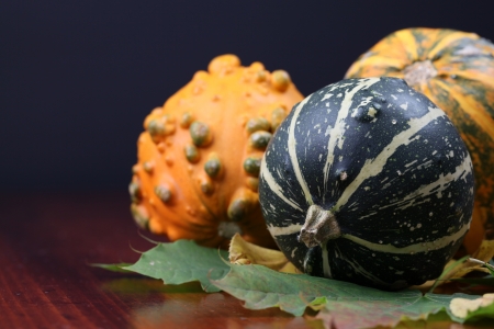 Autumn arrangement with colorful pumpkins  の写真素材