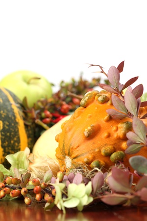 Autumn arrangement with various pumpkins  Shallow dofの写真素材