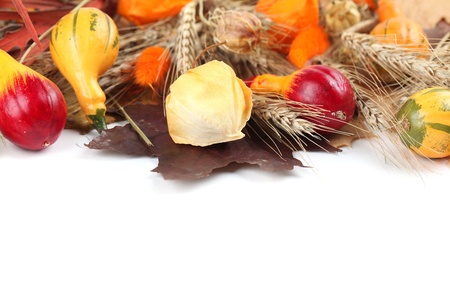 Autumn border with colorful pumpkins on white backgroundの写真素材