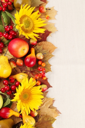 Autumn frame with fruits, pumpkins and sunflowersの写真素材