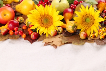 Autumn frame with fruits, pumpkins and sunflowersの写真素材