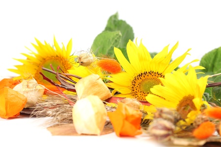 Autumn arrangement with sunflowers, physalis and barleyの写真素材