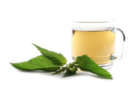 Nettle and freshly made nettle tea in a glass cup isolated on white background  Shallow dof, focus on nettleの写真素材