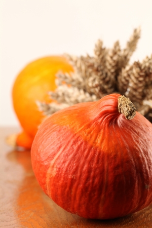 Hokkaido pumpkins and wheat on a wooden tableの写真素材