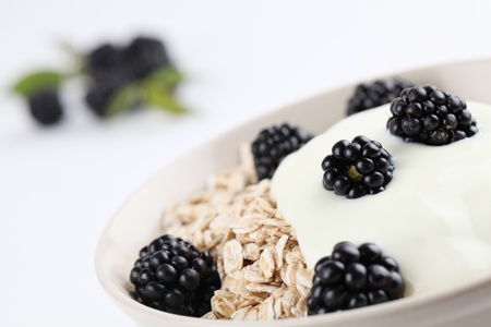 Oatmeal with yogurt and fresh organic blackberries  Shallow DOFの写真素材