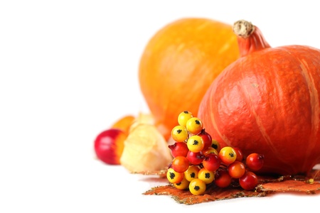 Autumn arrangement with Hokkaido pumpkins, berries and physalis on white backgroundの写真素材