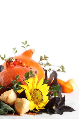 Autumn arrangement with Hokkaido pumpkins and sunflowers on white backgroundの写真素材