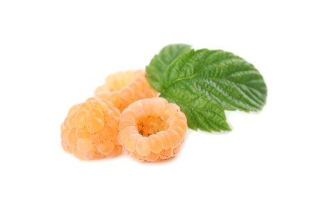 Fresh organic yellow raspberries isolated on white backgroundの写真素材