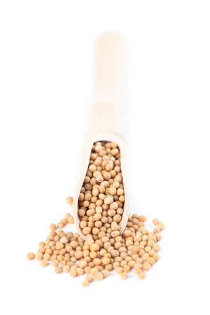 Mustard seeds in a wooden scoop isolated on white backgroundの写真素材