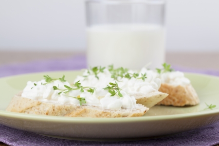 Healthy canapes with cottage cheese and cressの写真素材