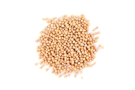 Heap of mustard seeds isolated on white backgroundの写真素材