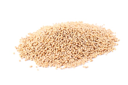 Heap of mustard seeds isolated on white backgroundの写真素材