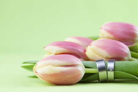 Titanium wedding rings on tulips  Shallow dofの写真素材